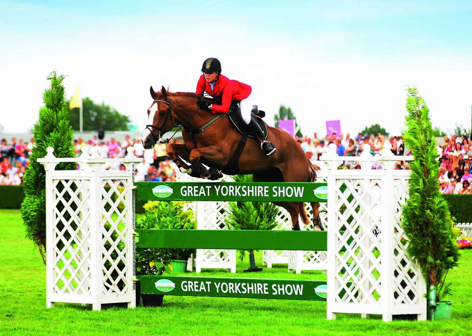 Great Yorkshire Show 2