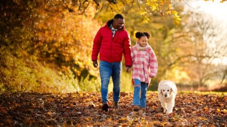 The Big Dog Walk Landing Page Header